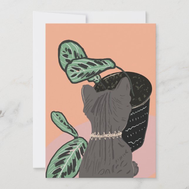 Tabby katt Grått Plants Tacks (Framsida)