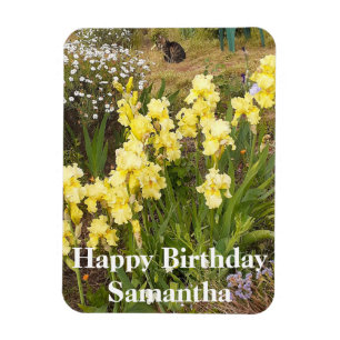 Tabby katt Gult Iris Flower Birthday Magnet