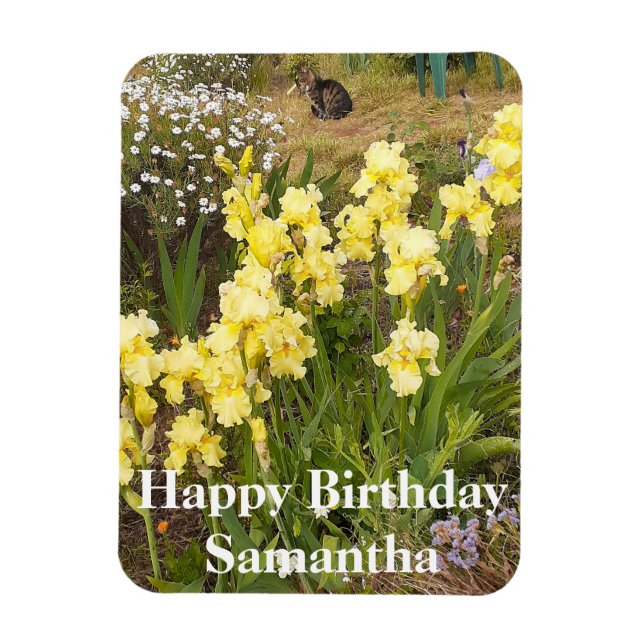 Tabby katt Gult Iris Flower Birthday Magnet (Vertikal)