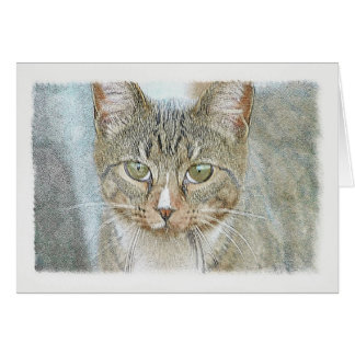 Tabby katt hälsningskort