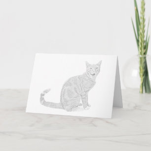 Tabby katt-hälsningskort för Pencil Teckning Kort