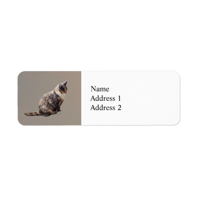 Tabby katt i Brunius skuggor Returadress Etikett (Framsidan)