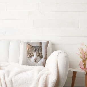 Tabby katt i gardiner kudde