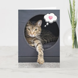 Tabby katt i lådan för att tänka på dig kort