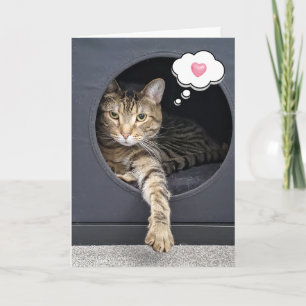 Tabby katt i lådan för att tänka på dig kort