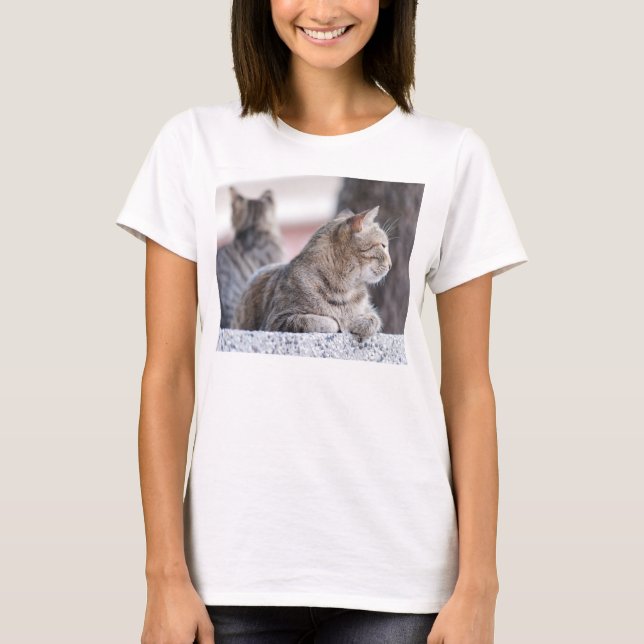 Tabby katt i retur t-shirt (Framsida)