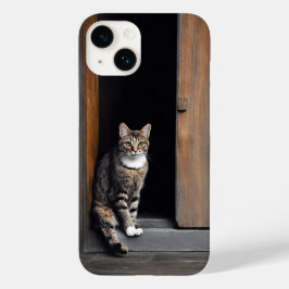 Tabby katt i Shed Doorway