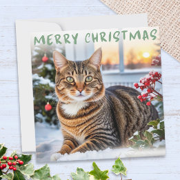 TABBY KATT i SNÖ ELEGANT GOD JUL Julkort