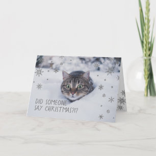 TABBY KATT i SNÖ SNÖFLINGOR i Helgkort
