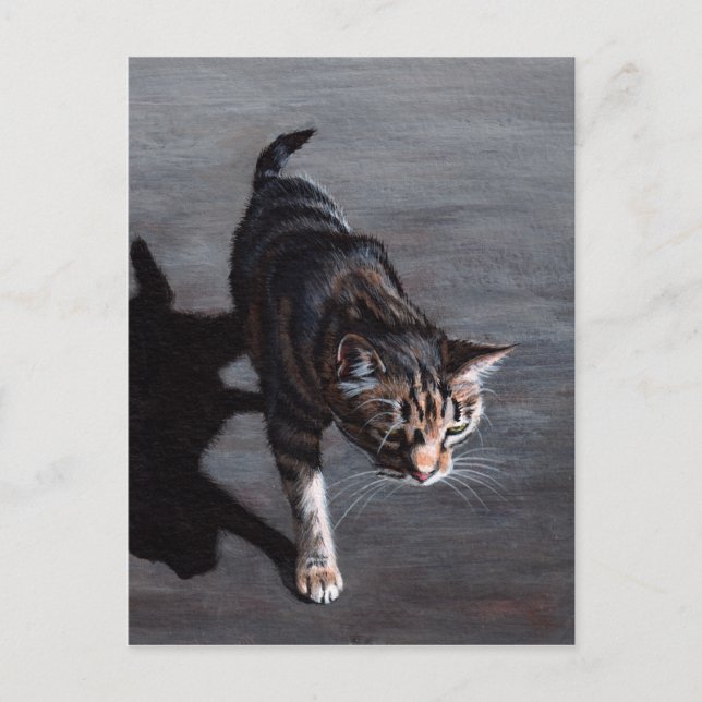 tabby katt i Sol med skuggvykort Vykort (Framsida)