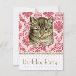 Tabby katt inbjudningar