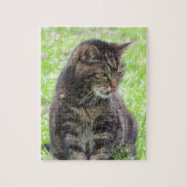 Tabby katt Jigszle Puzzle Pussel (Vertikal)
