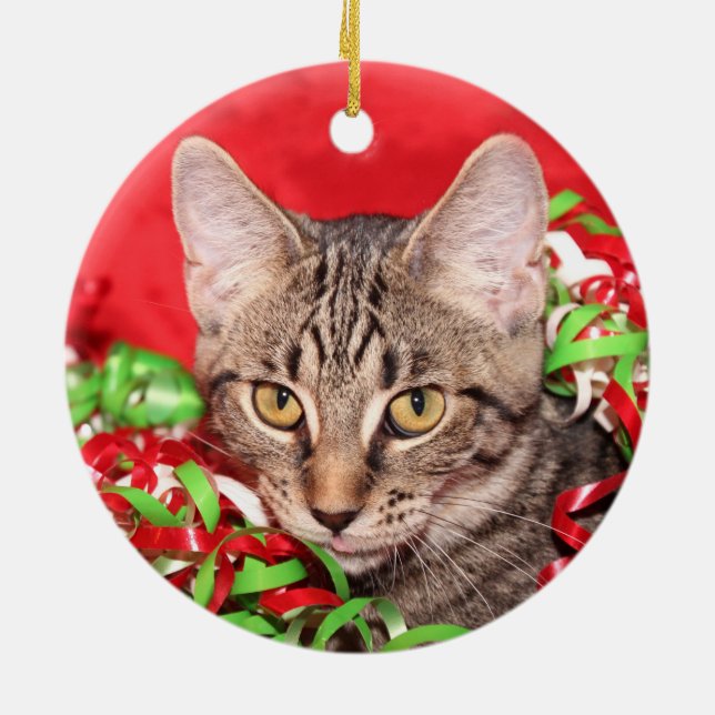 Tabby katt jul julgransprydnad keramik (Baksidan)