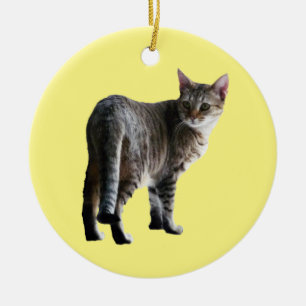 Tabby katt julgransprydnad keramik