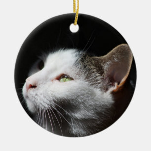 tabby katt julgransprydnad keramik