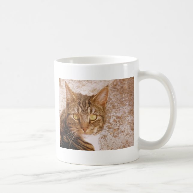 Tabby katt kaffemugg (Höger)