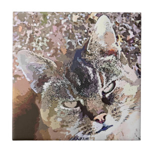 TABBY KATT KAKELPLATTA