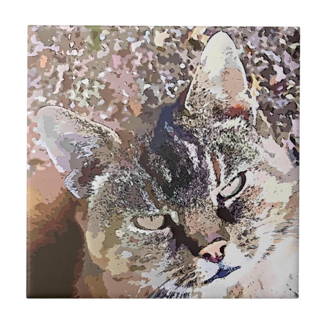 TABBY KATT KAKELPLATTA (Framsidan)