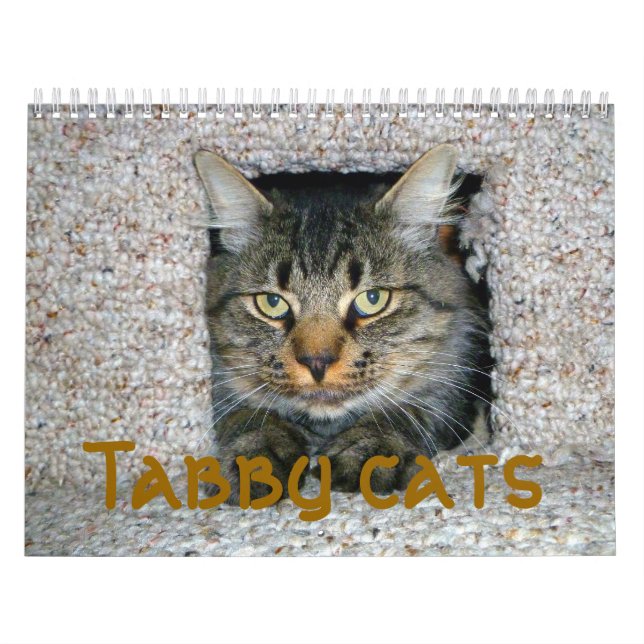 Tabby katt kalender (Omslag)
