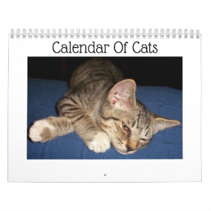 tabby katt Kalender