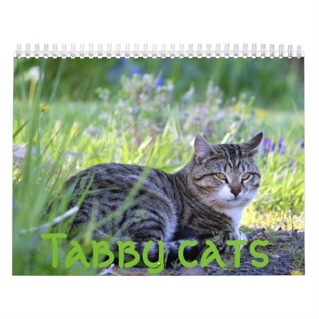 Tabby katt kalender (Omslag)