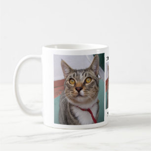 Tabby katt kan mig ha någon kaffemugg för