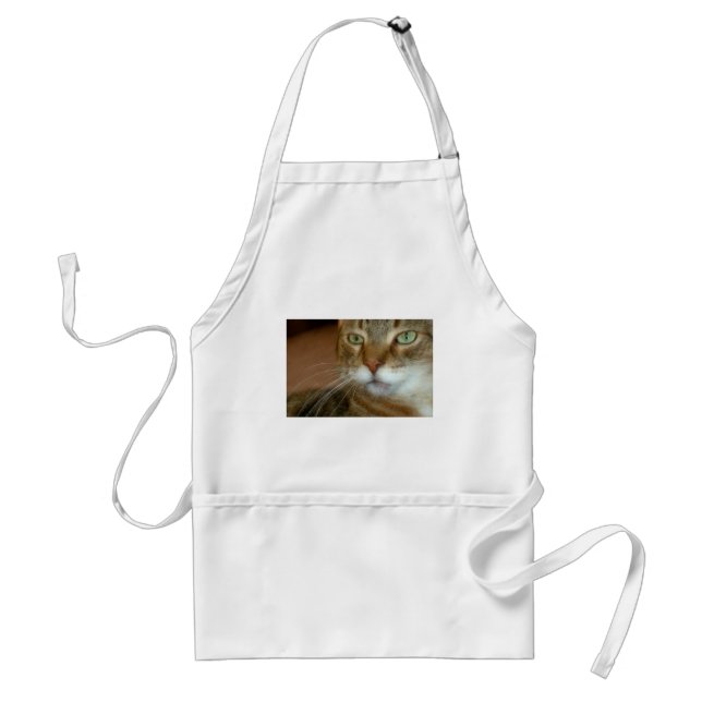 Tabby katt Kärlek Förkläde (Framsidan)