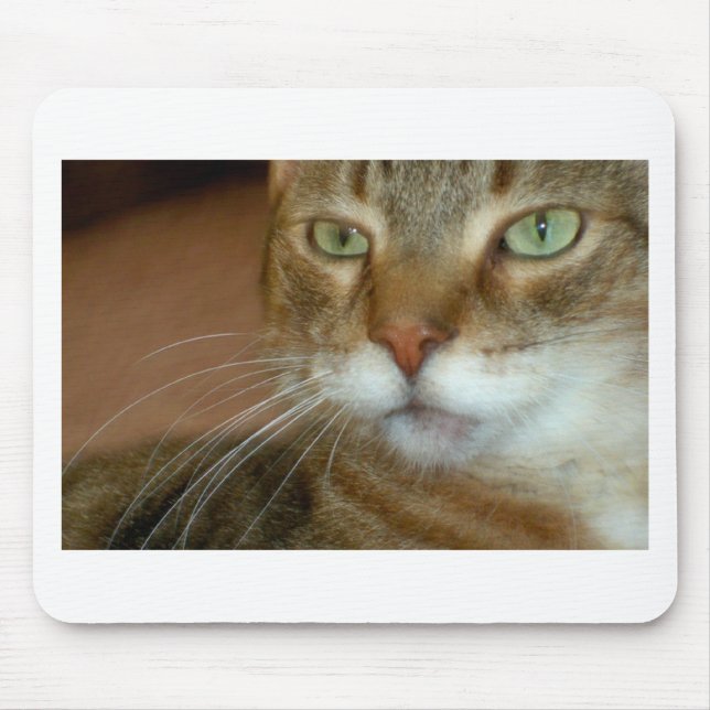 Tabby katt Kärlek Musmatta (Framsidan)