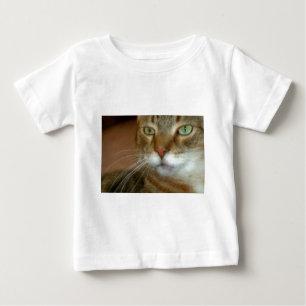 Tabby katt Kärlek T Shirt