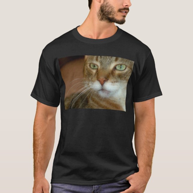 Tabby katt Kärlek Tee (Framsida)