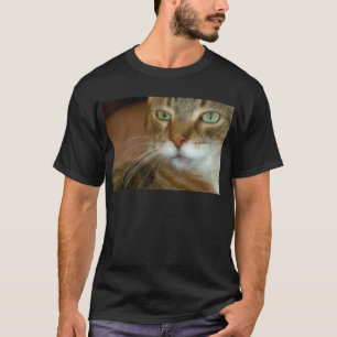 Tabby katt Kärlek Tee Shirt