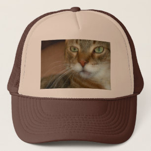 Tabby katt Kärlek Truckerkeps