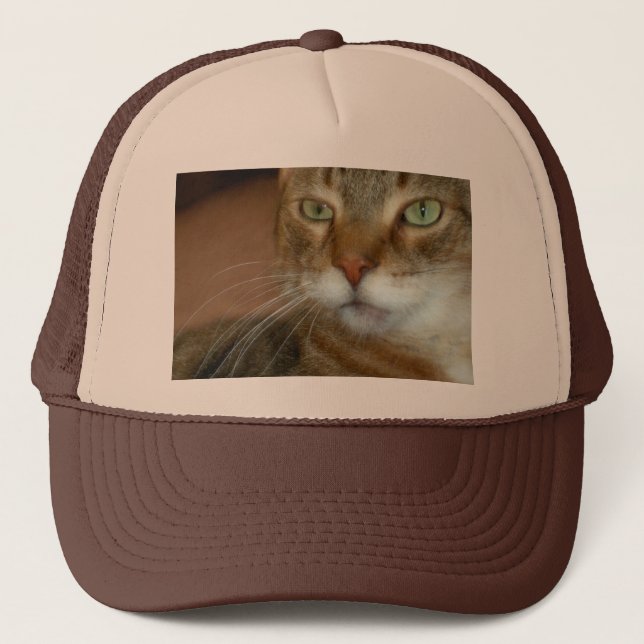 Tabby katt Kärlek Truckerkeps (Framsida)