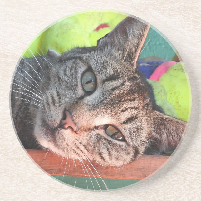 Tabby katt Kärlek Underlägg Sandsten (Framsidan)