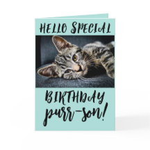 TABBY KATT KITTEN BIRTHDAY GREETING CARDS