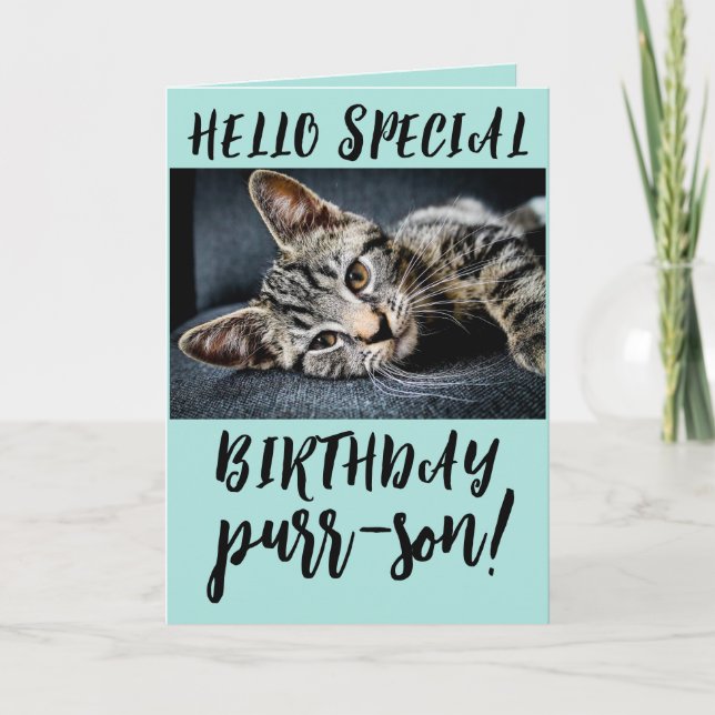 TABBY KATT KITTEN BIRTHDAY GREETING CARDS KORT (Framsida)