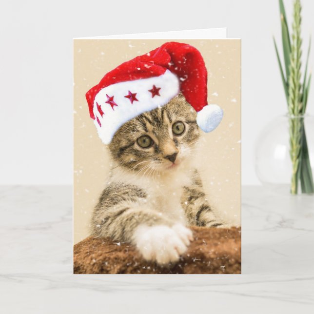 TABBY KATT KITTEN MEOWY CHRISTMAS-KORT HELGKORT (Framsida)
