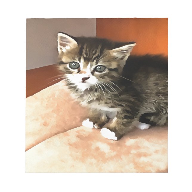Tabby katt Kitten Pet Porträtt Anteckningsblock (Framsida)