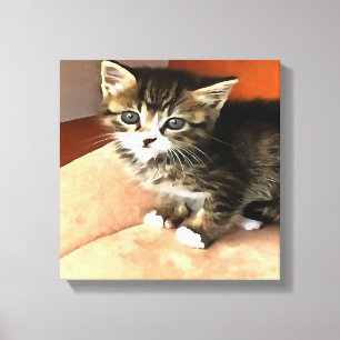 Tabby katt Kitten Pet Porträtt Canvastryck