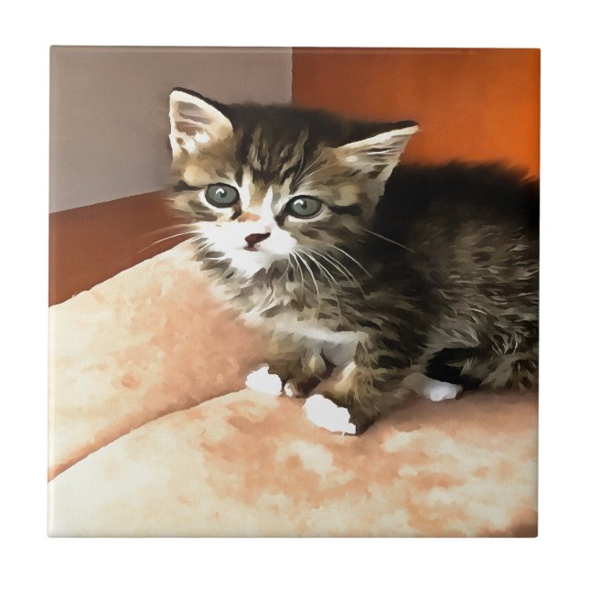 Tabby katt Kitten Pet Porträtt Kakelplatta (Framsidan)