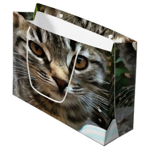 Tabby katt Kitten Skapar Öga kontakt