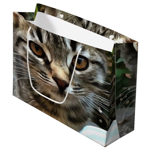 Tabby katt Kitten Skapar Öga kontakt (Framsidan Vinklad)