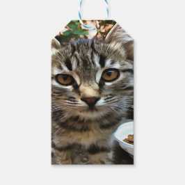 Tabby katt Kitten Skapar Öga kontakt Presentetikett