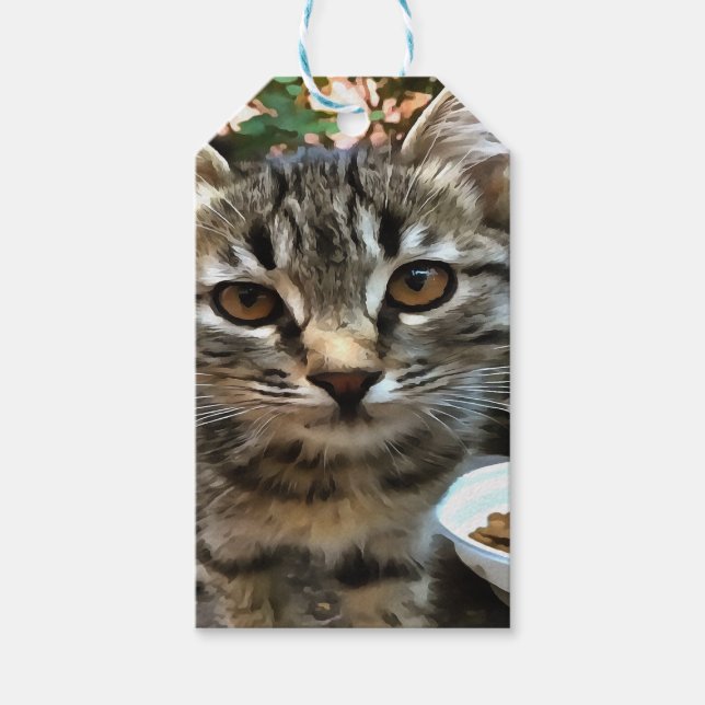 Tabby katt Kitten Skapar Öga kontakt Presentetikett (Framsidan)