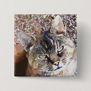 TABBY KATT KNAPP
