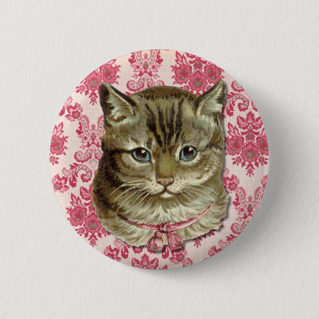 Tabby katt knapp (Framsida)