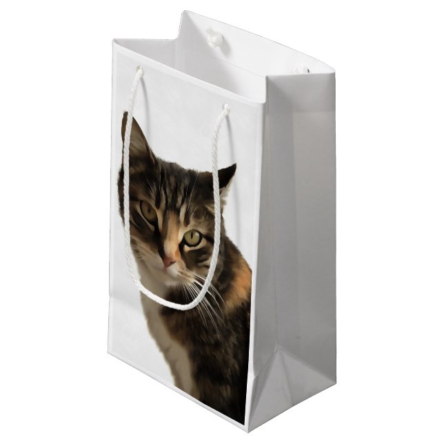 Tabby katt konstnärliga Porträtt på vit bakgrund (Framsidan Vinklad)