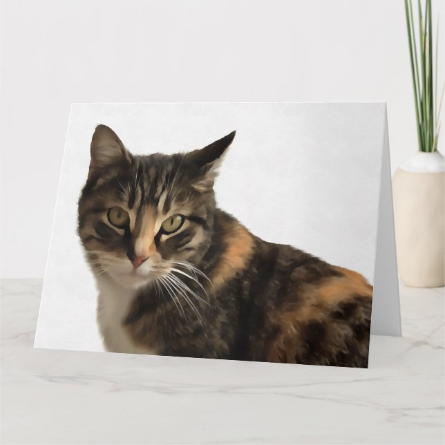 Tabby katt konstnärliga Porträtt på vit bakgrund Tack Kort (Framsida)