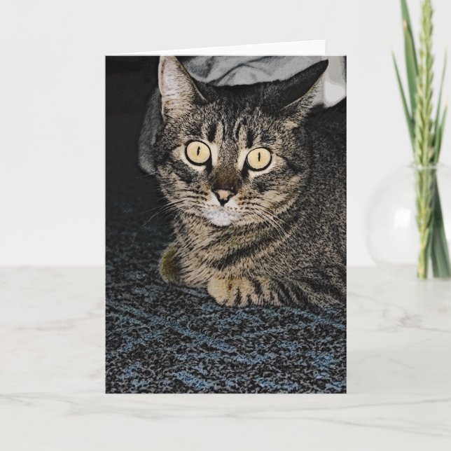 Tabby katt kort (Framsida)