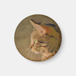 Tabby katt magnet